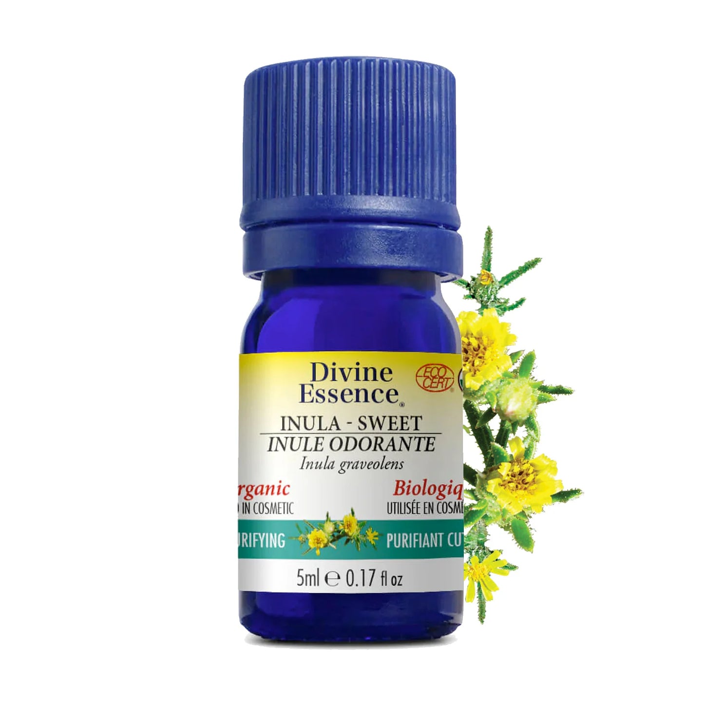 Inula Sweet (Organic)