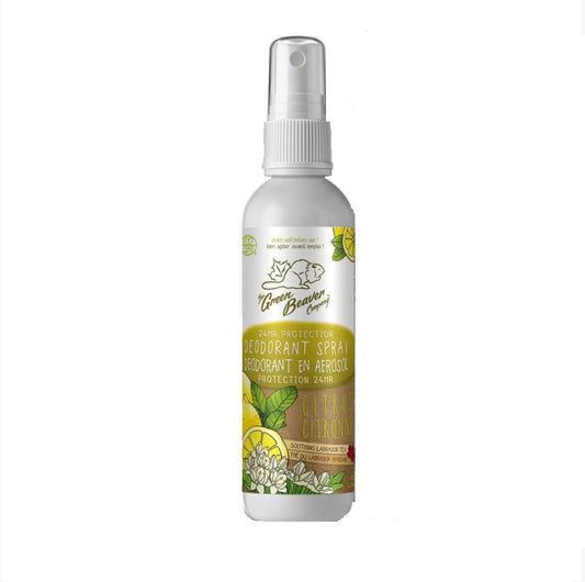 Citrus Deodorant Stick - Camomile Beauty - Green Natural Cruelty-free Beauty Shop