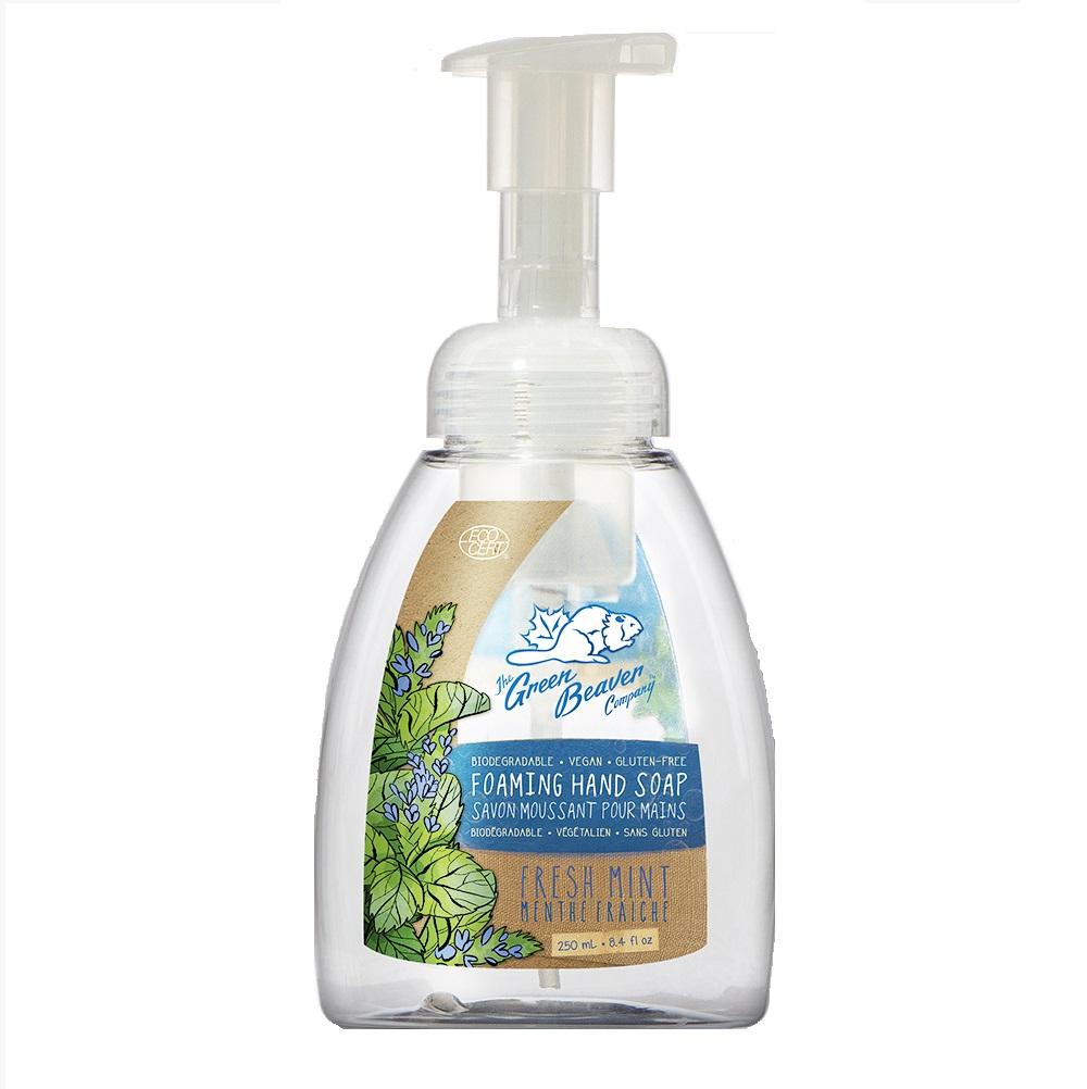 Foaming Hand Wash - Fresh mint