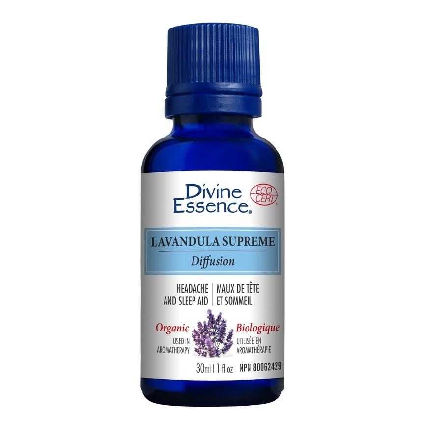 Divine Essence - Blend - Organic Lavandula Supreme
