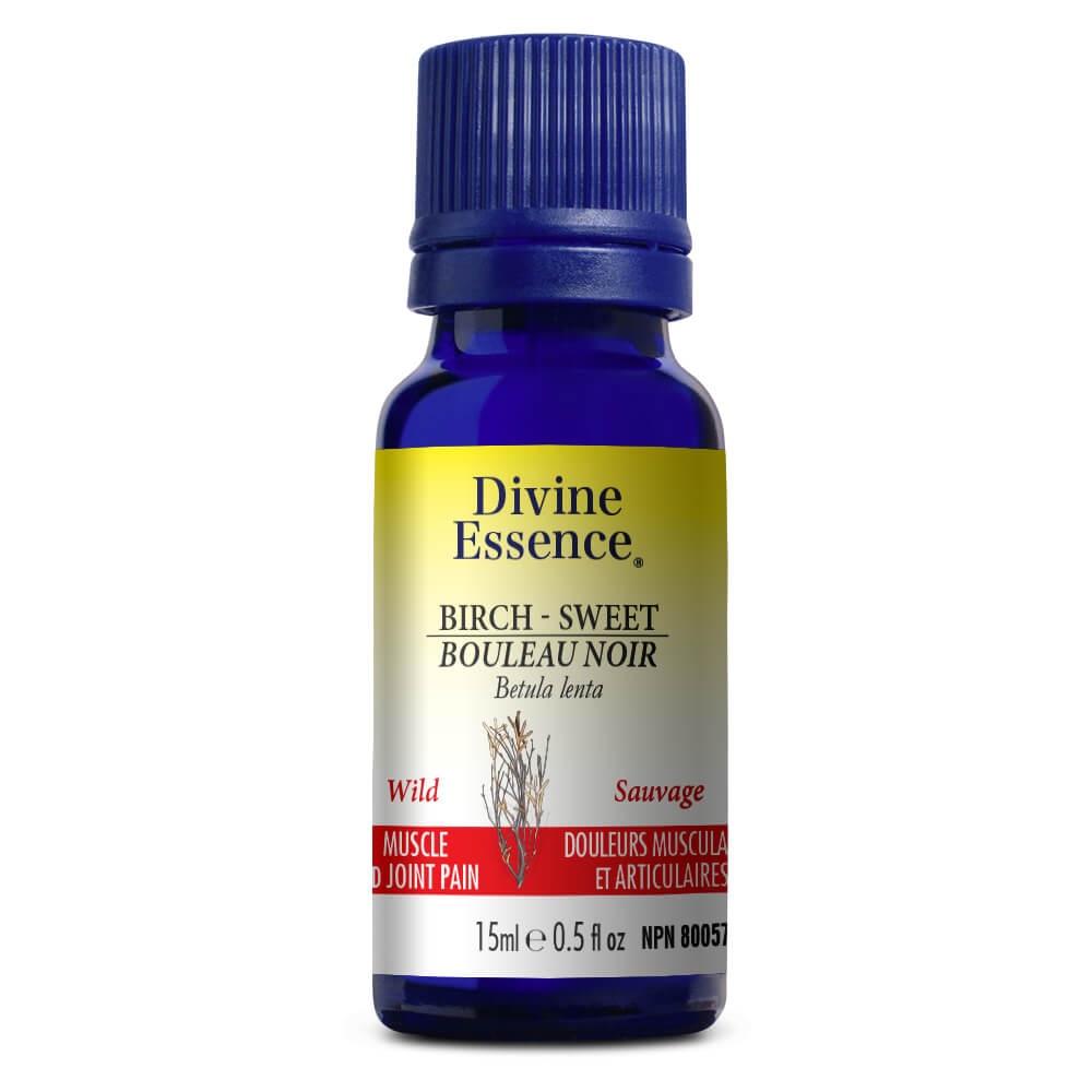 Divine Essence - Wild Birch - Sweet