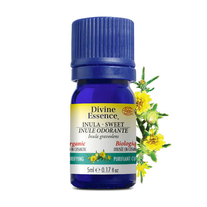 Inula Sweet (Organic)