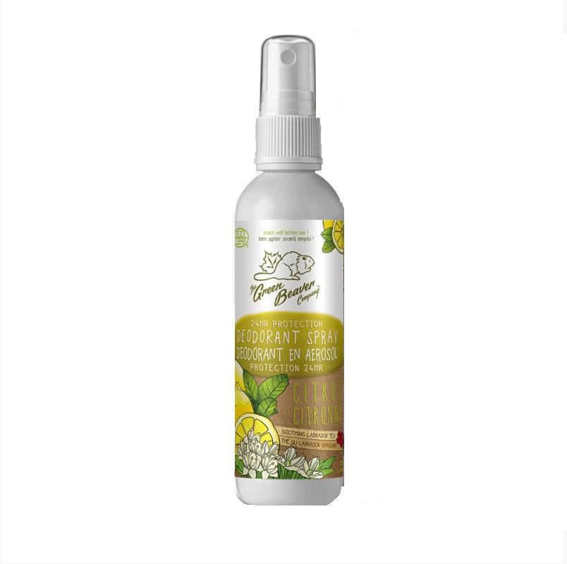 Citrus Deodorant Stick - Camomile Beauty - Green Natural Cruelty-free Beauty Shop