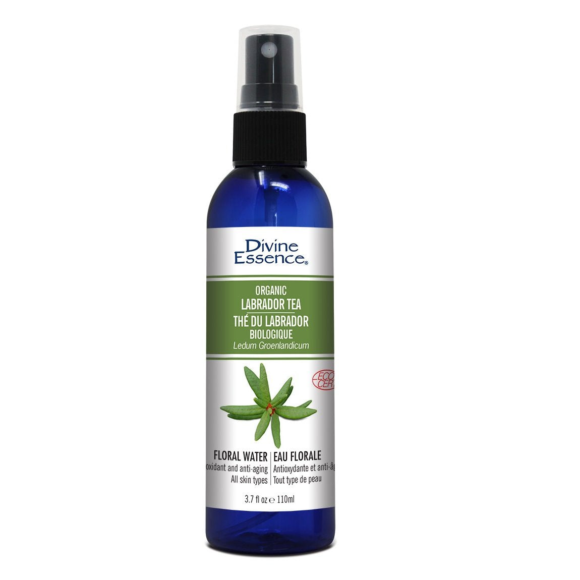 Divine Essence - Hydroxol - Labrador Tea (Organic)