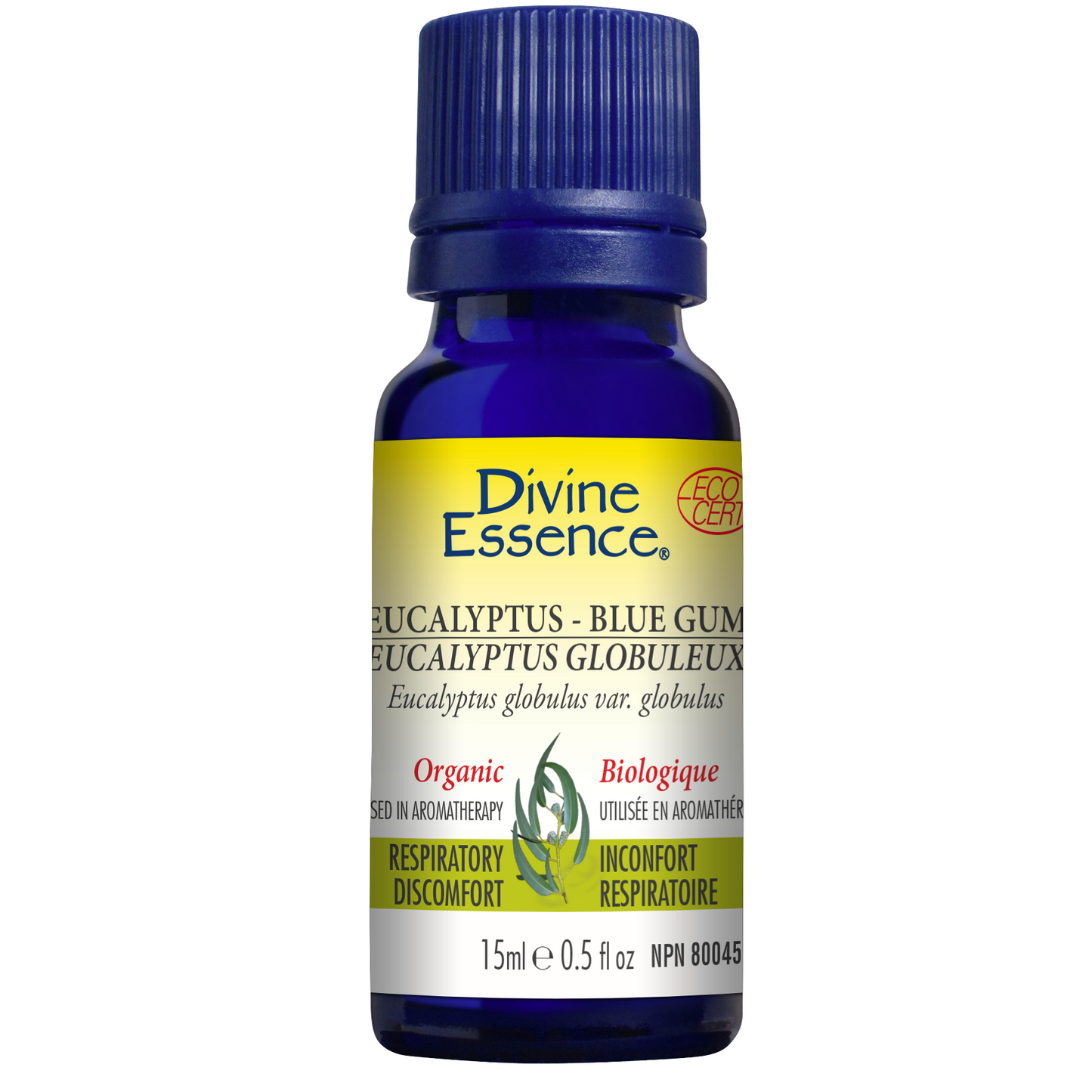 Divine Essence - Organic Eucalyptus - Blue Gum