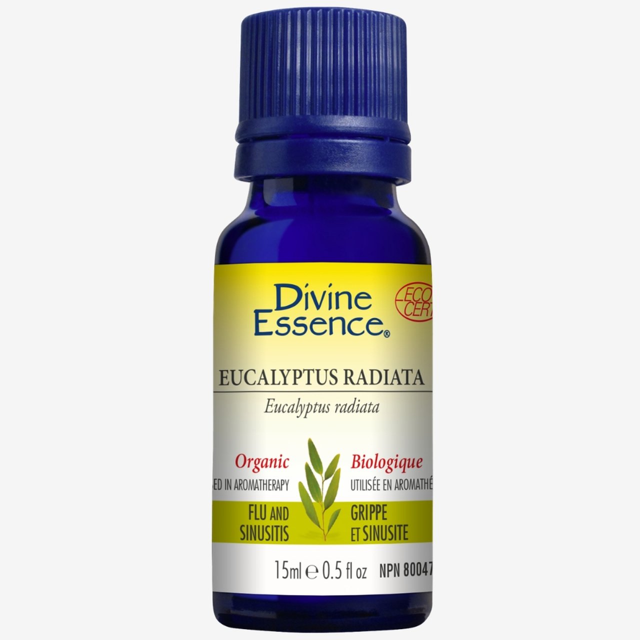 Divine Essence - Organic Eucalyptus - Radiata