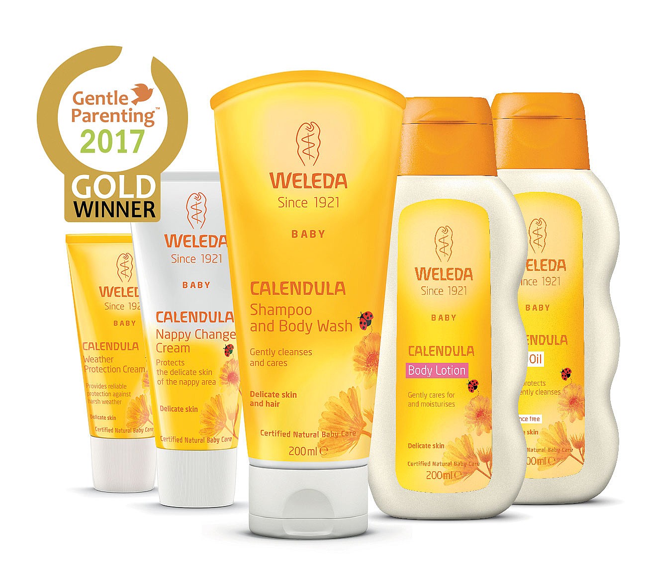 Calendula Shampoo and Body Wash - Camomile Beauty - Green Natural Cruelty-free Beauty Shop