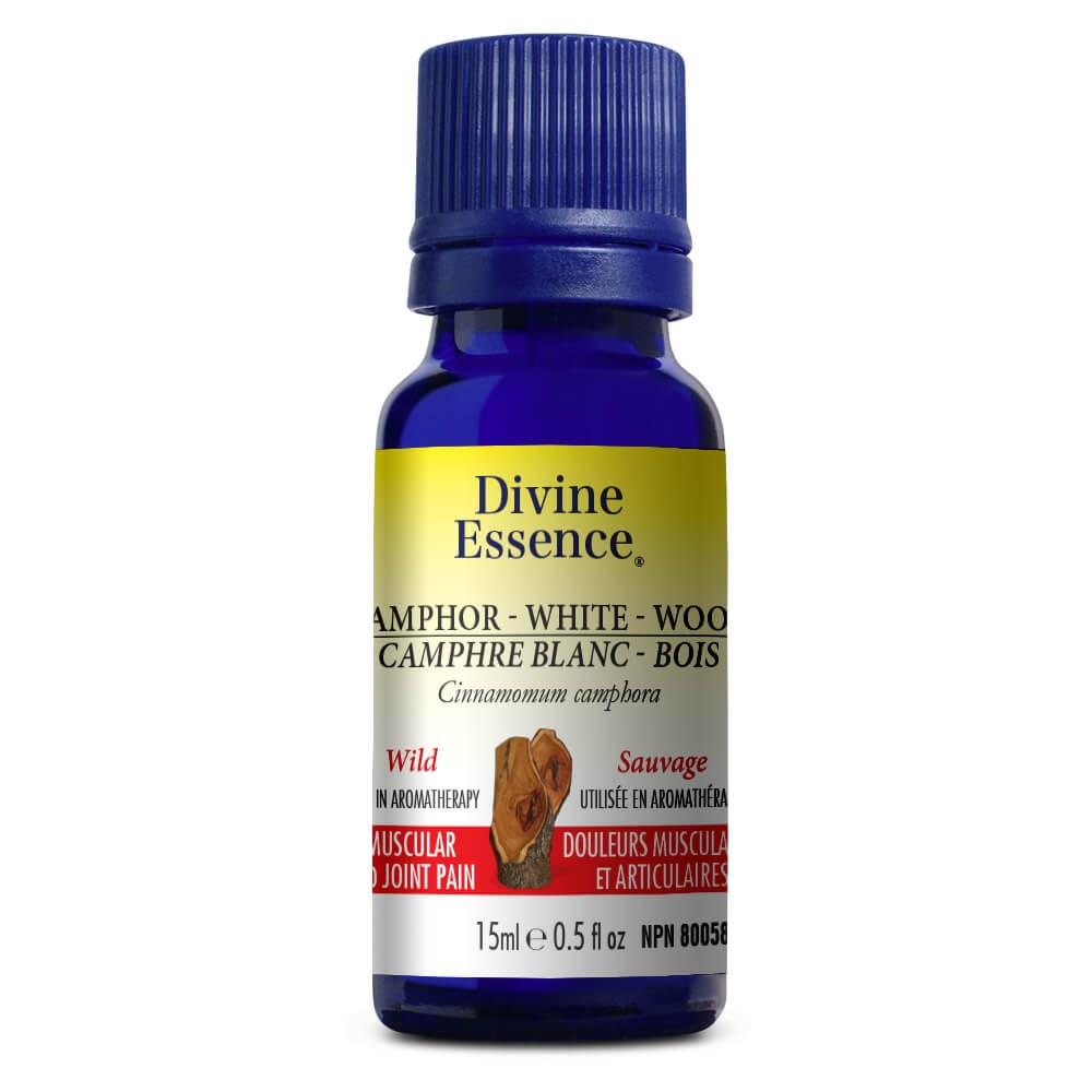 Divine Essence - Camphor - White Wood (Wild)