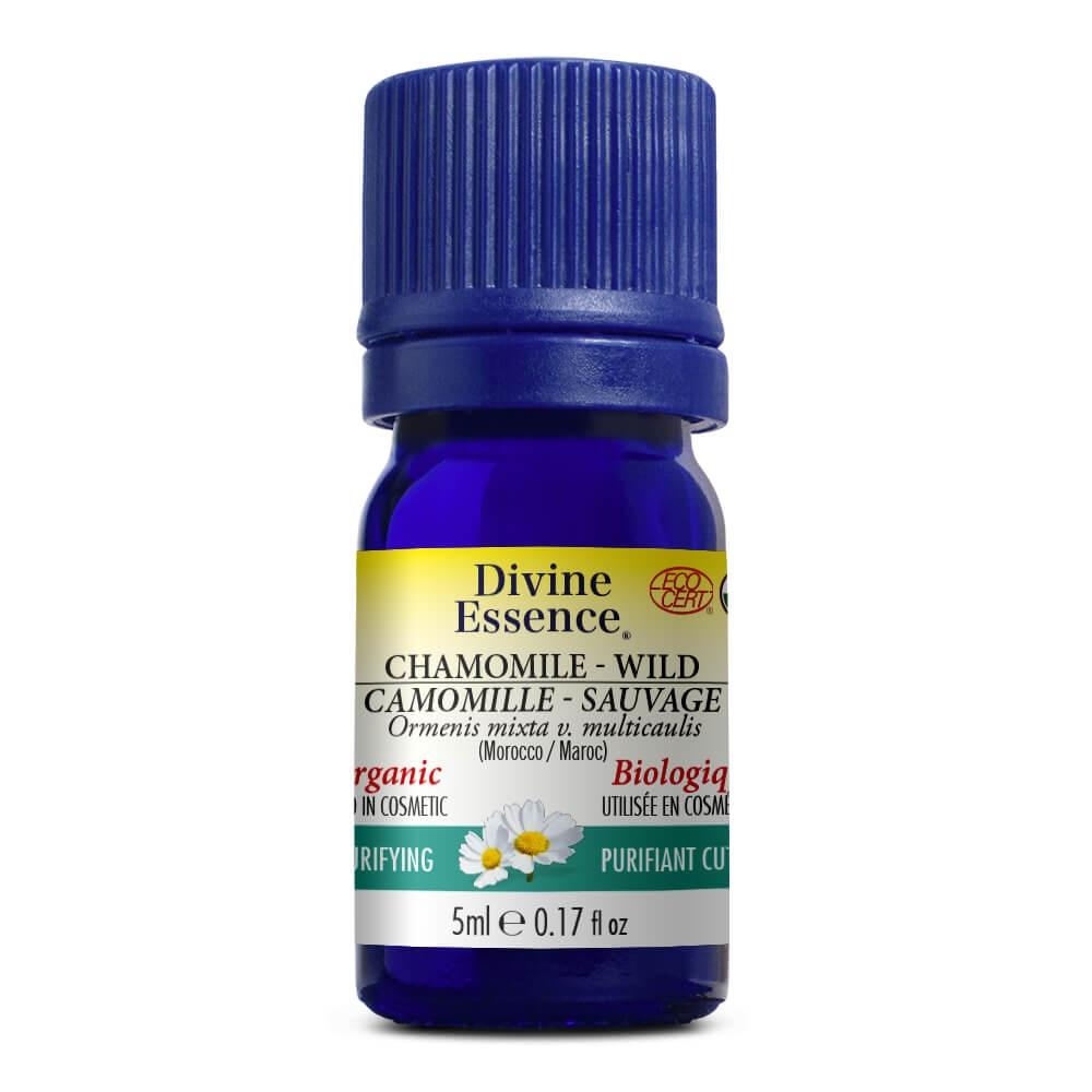 Divine Essence - Chamomile Oil - Wild (Morocco) (Organic)