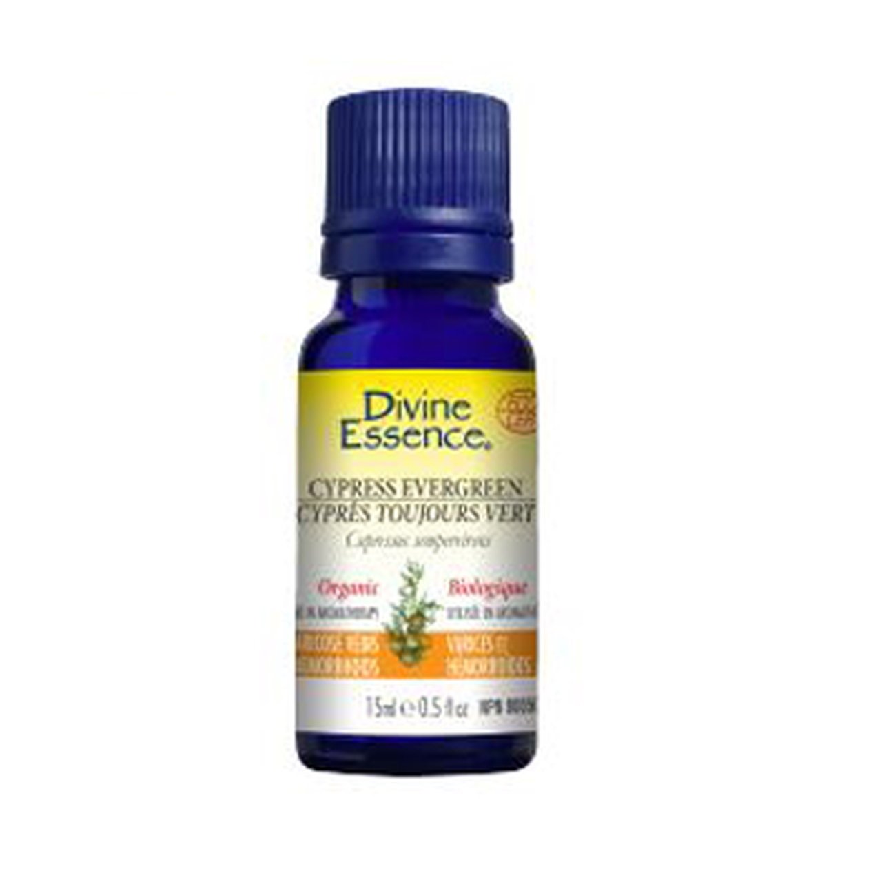 Divine Essence - Cypress - Evergreen (Organic)