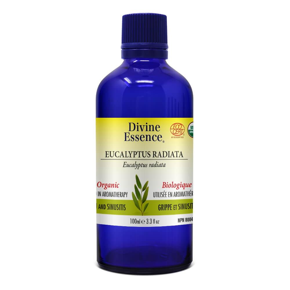 Divine Essence - Organic Eucalyptus - Radiata