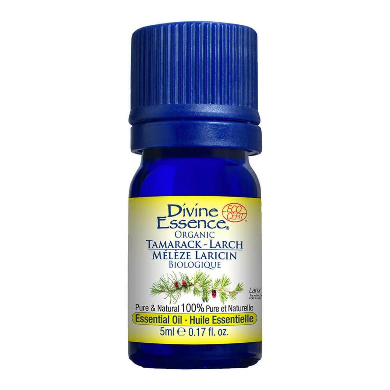 Divine Essence - Larch Tamarack (Organic)