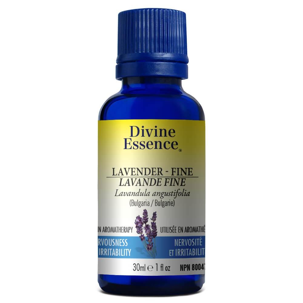 Divine Essence - Lavender - Fine