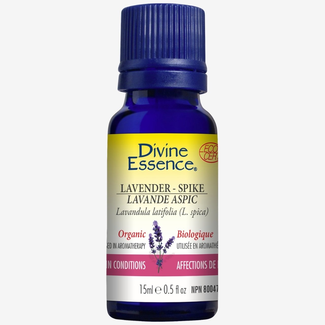 Divine Essence - Lavender - Spike (Organic)