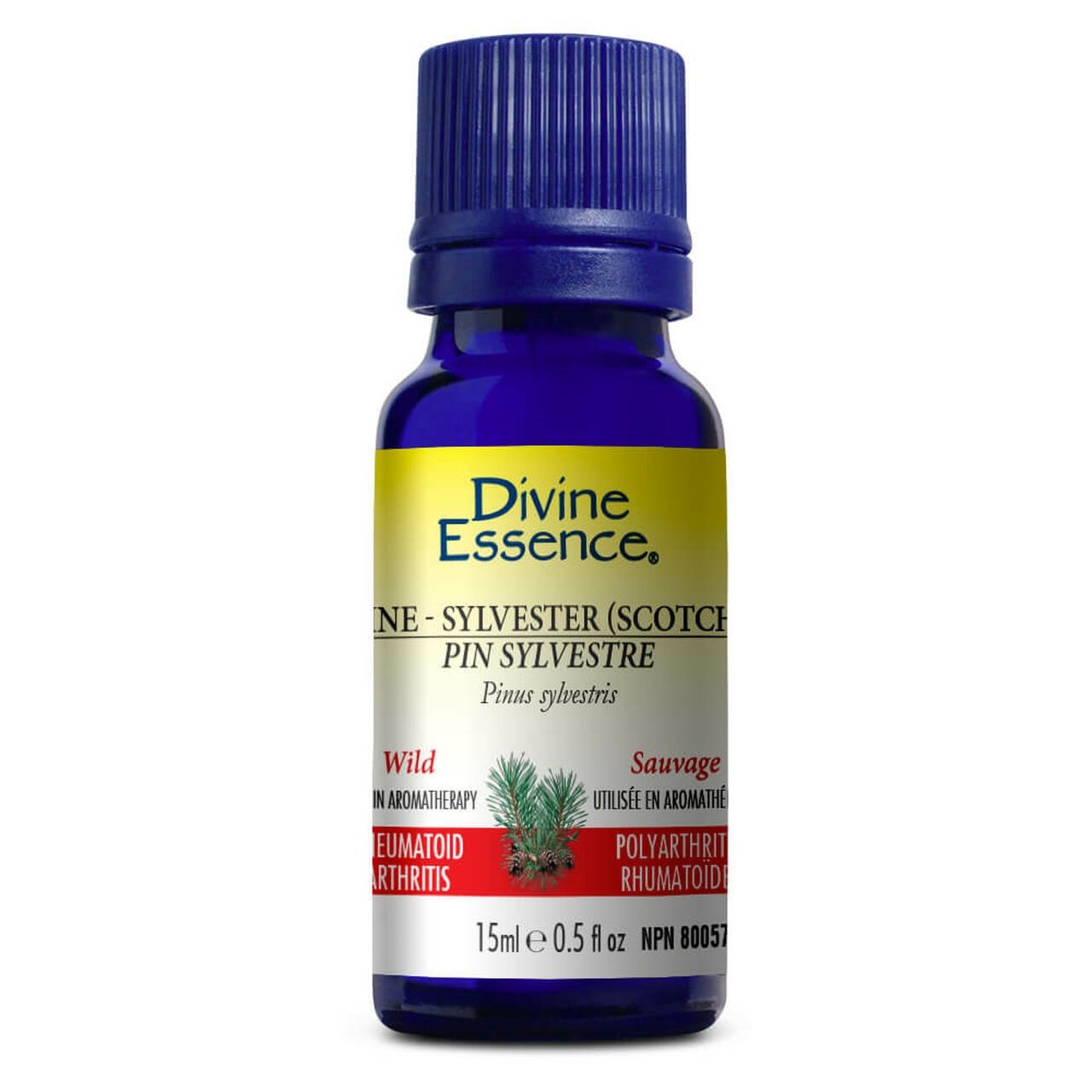 Divine Essence - Pine Sylvestre (Scotch) (Wild)