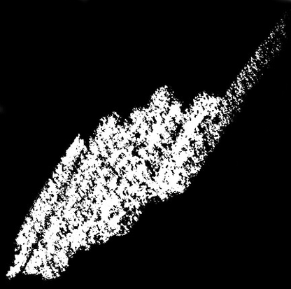 Precision eyeliner - Camomile Beauty